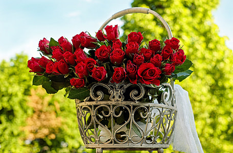 selective focus photography of red roses on basket thumbnail