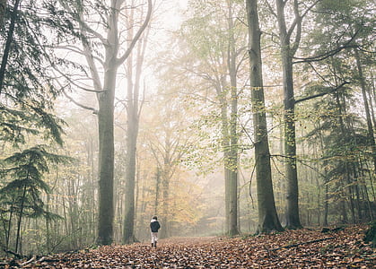 person wearing black and white shirt walking next to trees thumbnail