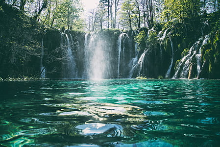 green river surrounded by trees thumbnail
