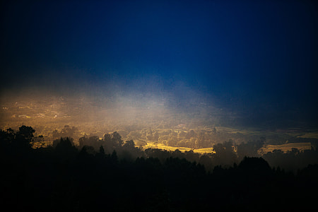landscape photography of forest trees thumbnail