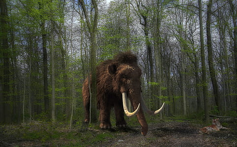 brown mammoth beside trees thumbnail