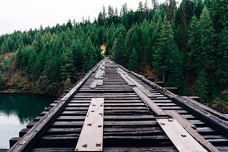 empty wooden rail track above water at daytime thumbnail