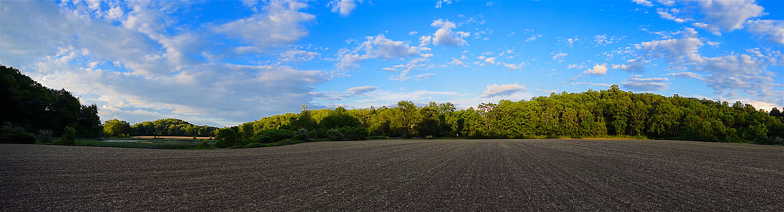 panoramic photography of paved road and trees thumbnail