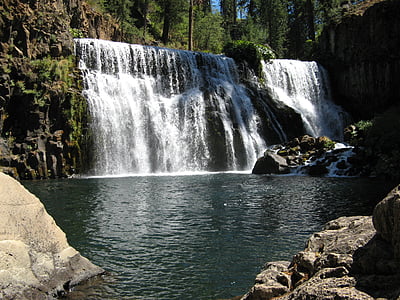 waterfalls on rock near trees thumbnail