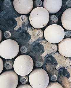 space, pattern, white, eggs thumbnail