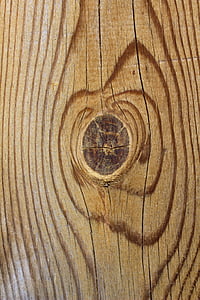 brown tree sheet thumbnail