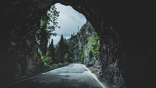 view of tunnel surrounding trees during daytime thumbnail