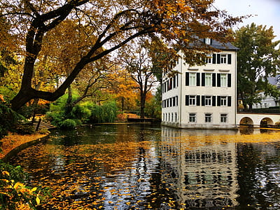 photography of lake, house, and trees thumbnail