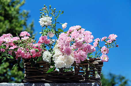 pink and white rose flowers in brown wicker basket thumbnail