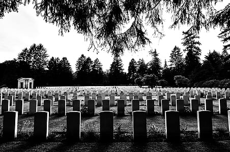 grayscale photography of gravestones thumbnail
