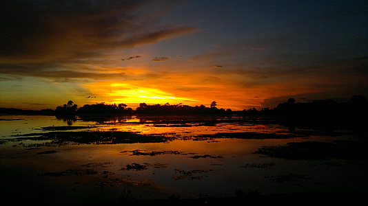 silhouette photo of trees during golden hour thumbnail