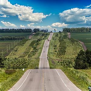 aerial view of asphalt road between green trees thumbnail