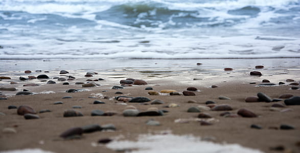 closeup photography of seashore thumbnail