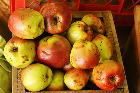 lots of apples thumbnail