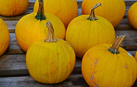 fill the frame photography of yellow pumpkins thumbnail