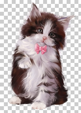 Kitten Cat Toy Poodle Puppy Chaton Png Clipart Free Cliparts