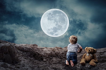 boy beside bear plush looking at moon thumbnail