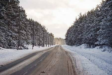 Winter road thumbnail