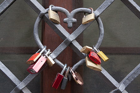 assorted padlocks on metal grille thumbnail