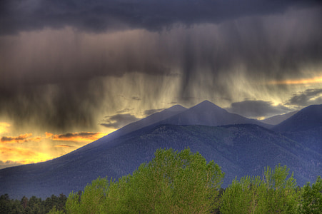 mountain surrounded by trees thumbnail