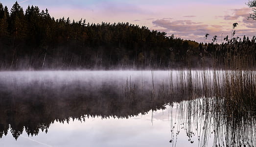 landscape photo of body of water with trees thumbnail