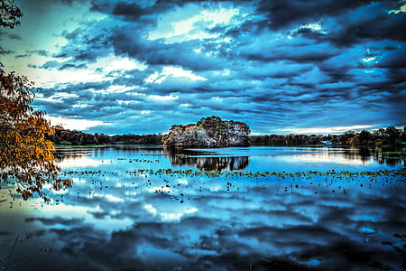 forest near body of water thumbnail