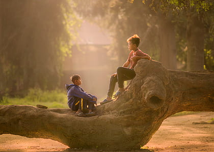 two boys sitting on tree branch during daytime thumbnail