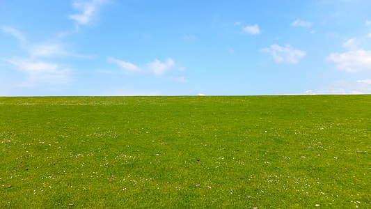 green grass field during daytime thumbnail