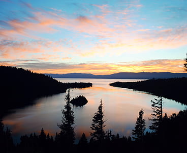 silhouette of trees near body of water photo thumbnail