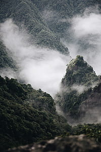 fogs covering tress on mountain at daytime thumbnail