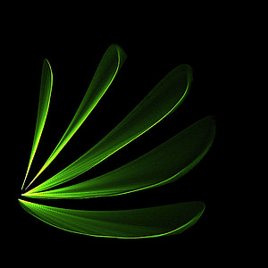 five green leaves thumbnail