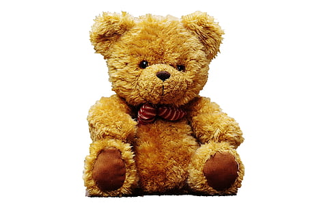 brown bear plush toy thumbnail