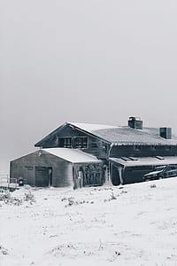 gray house on tundra thumbnail