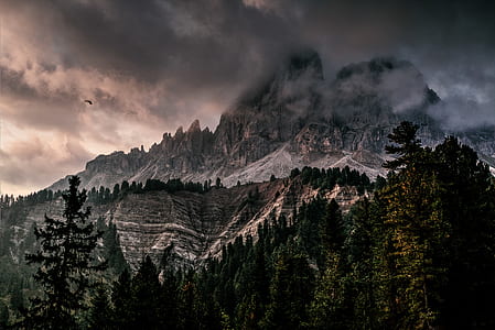 mountain surrounded by pine trees under gray clouds thumbnail