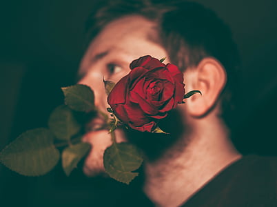 man bitten a red rose thumbnail