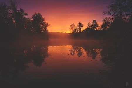 silhouette of trees reflected on water at sunset thumbnail