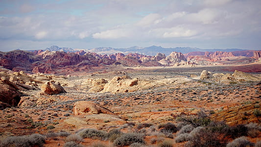 brown hills thumbnail