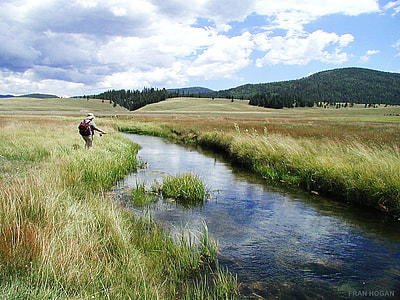 man standing beside river wearing backpack thumbnail