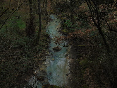 river on forest thumbnail