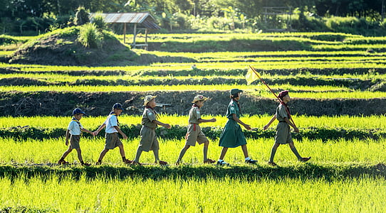 six children scout walking on rice field thumbnail