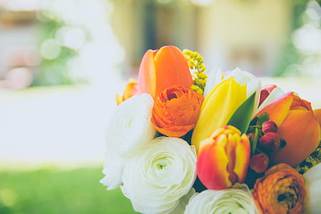 macro shot photography of assorted flowers thumbnail