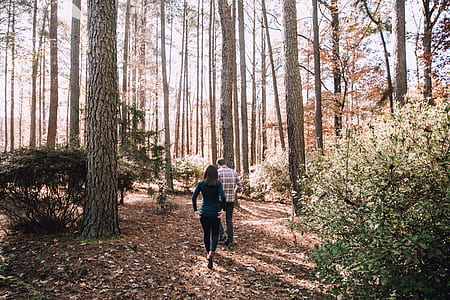 man and woman surrounded by tall trees thumbnail