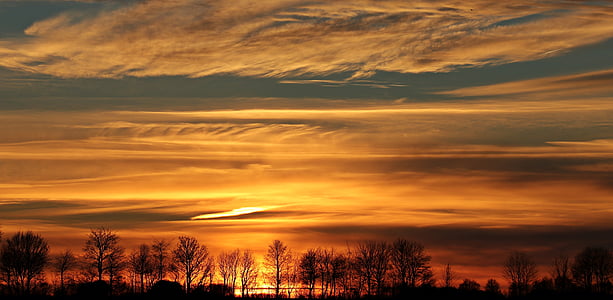 gold-colored sky during golden hour thumbnail