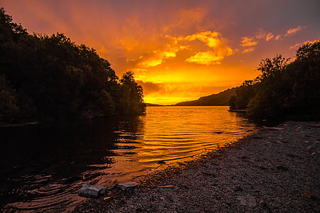 river near trees during golden hour thumbnail