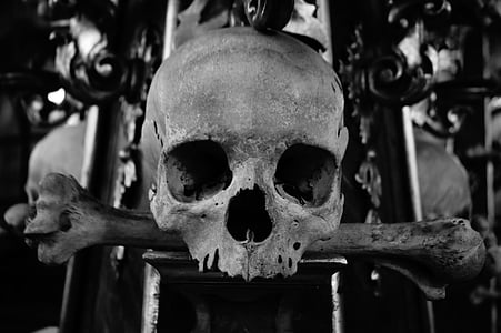 grayscale photo of skull thumbnail