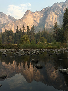 landscape photograph of forest thumbnail