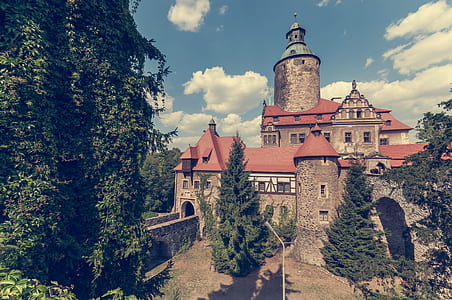 gray concrete castle surrounded by forest thumbnail