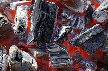 close-up photo of burned wood thumbnail