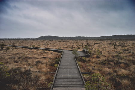 Person Showing Gray Road thumbnail