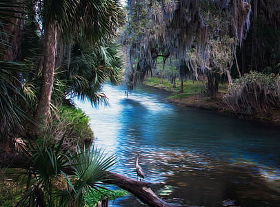 blue body of water near trees thumbnail